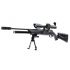Пневматическая винтовка Umarex Walther 1250 Dominator FT (PCP, прицел 8-32x56)